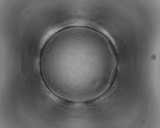 X0000091491464200708161429
