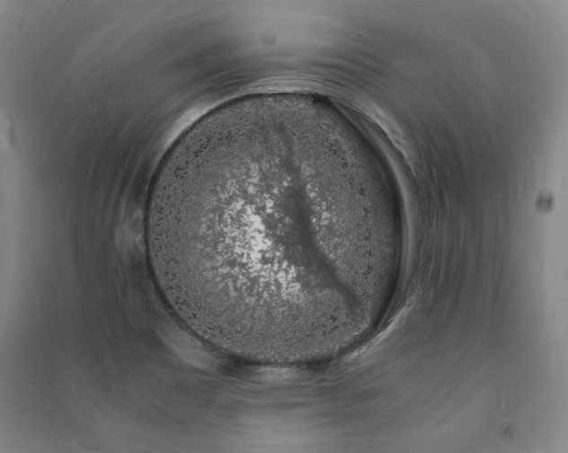 X0000091491465200708161429