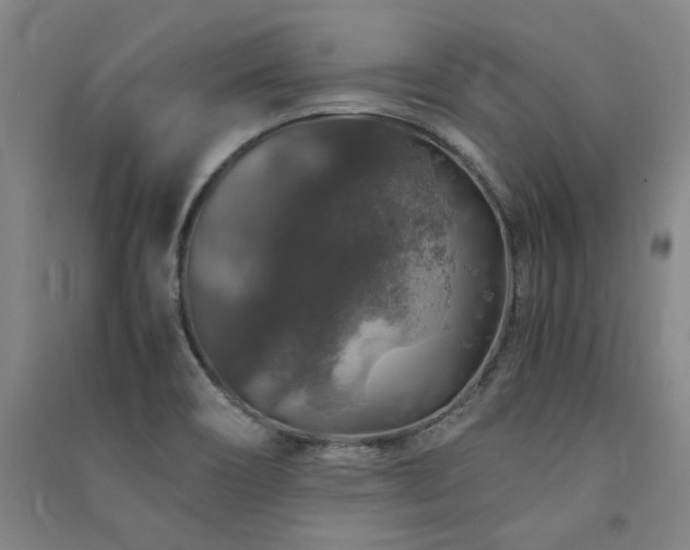 X0000091491466200708161429