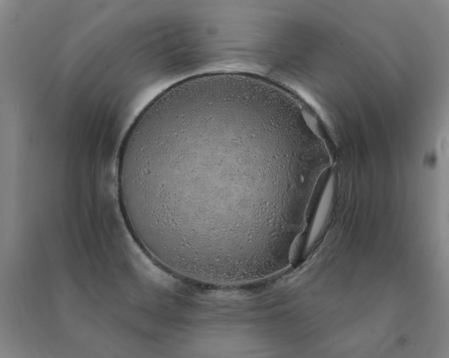 X0000091491468200708161429