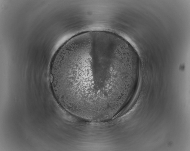 X0000091491469200708161429