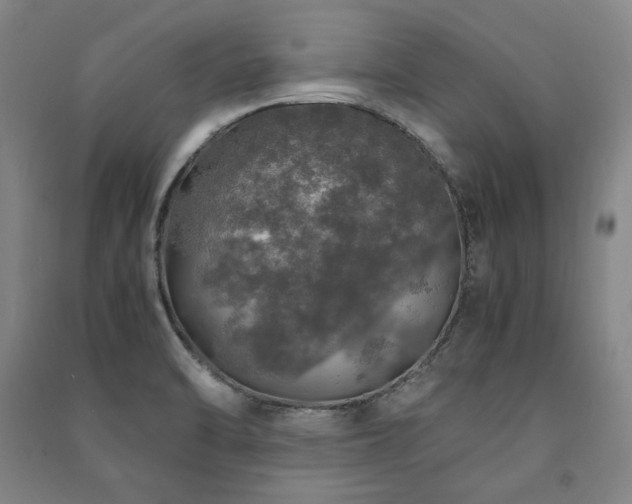 X0000091491470200708161429
