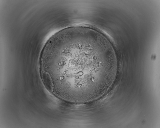 X0000091491471200708161429