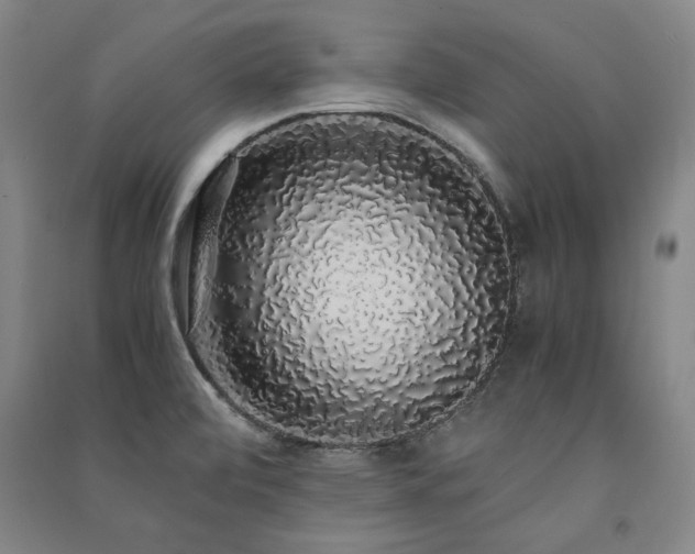 X0000091491472200708161429