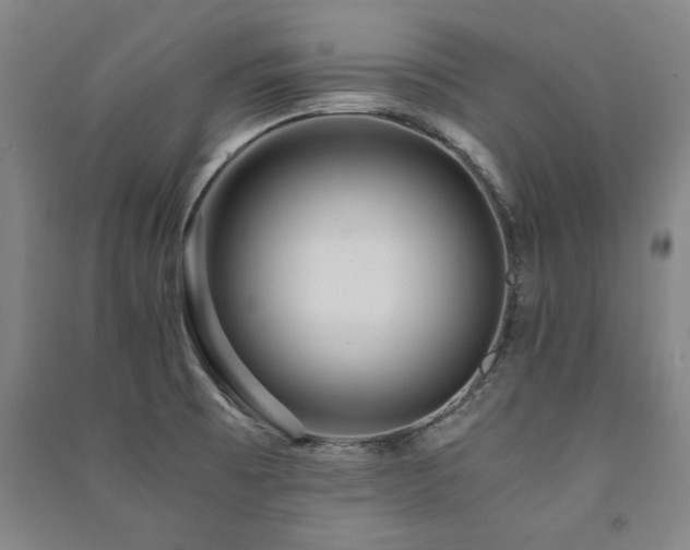 X0000091491473200708161429