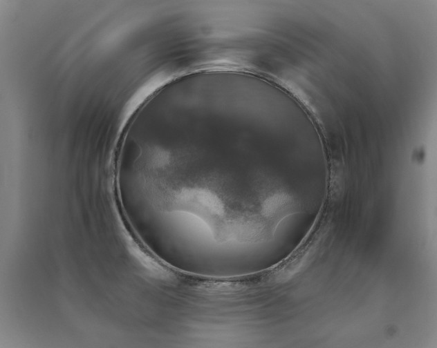 X0000091491474200708161429