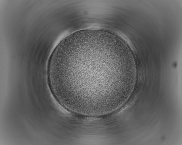 X0000091491475200708161429