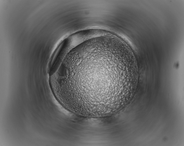 X0000091491476200708161429