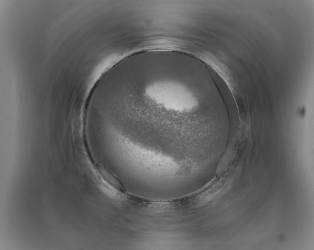 X0000091491477200708161429
