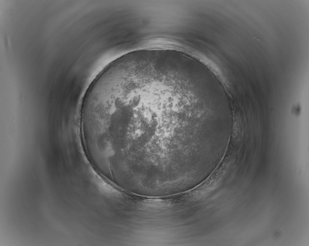 X0000091491478200708161429