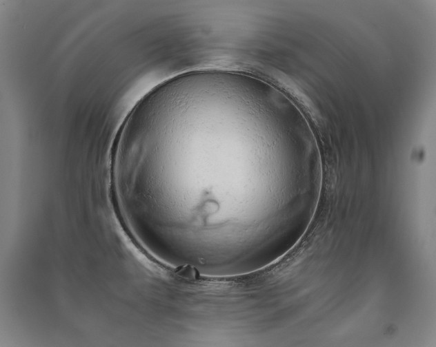 X0000091491479200708161429