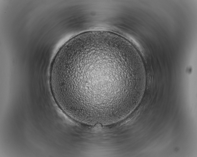 X0000091491480200708161429