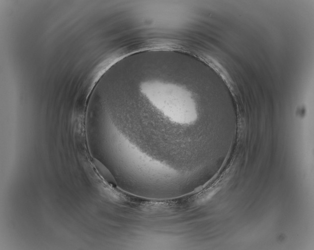 X0000091491481200708161429