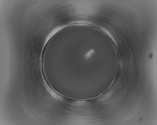 X0000091491482200708161429