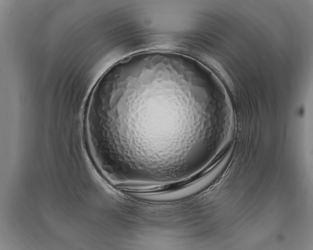 X0000091491483200708161429