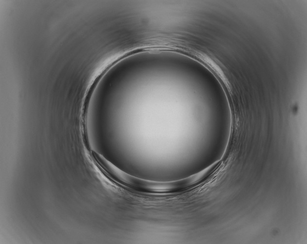 X0000091491485200708161429