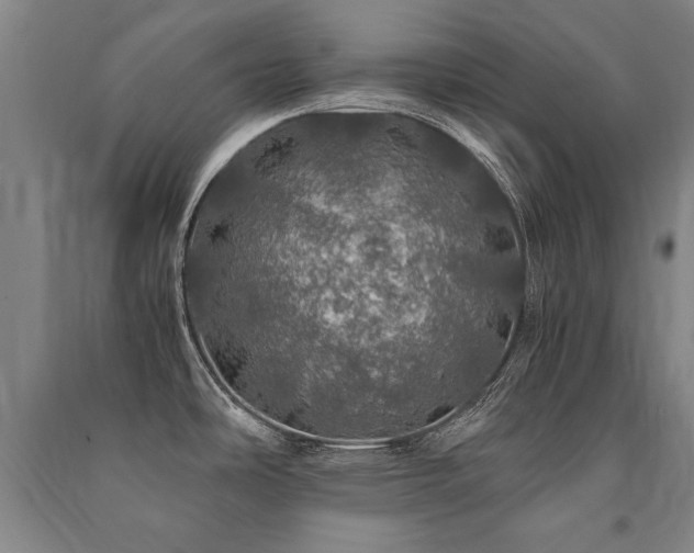 X0000091491486200708161429