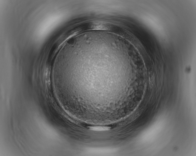 X0000091491487200708161429