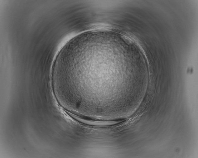X0000091491488200708161429