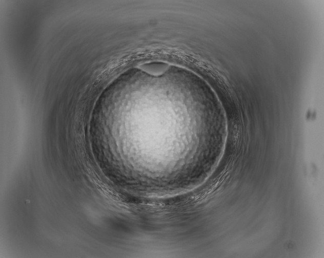 X0000091491489200708161428