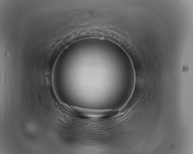 X0000091491490200708161428