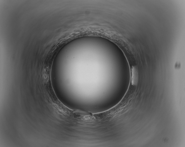 X0000091491491200708161428
