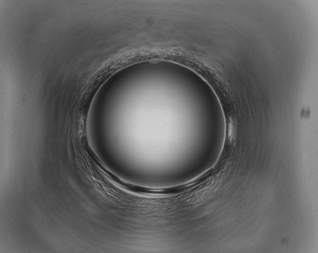 X0000091491492200708161428