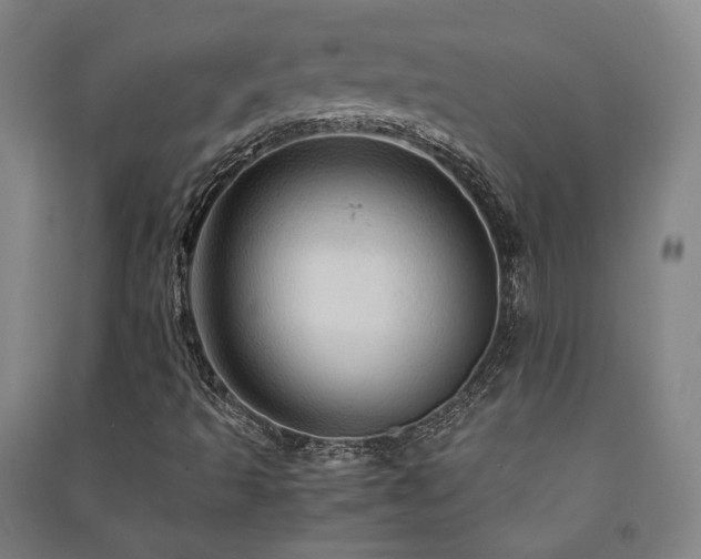 X0000091491493200708161428