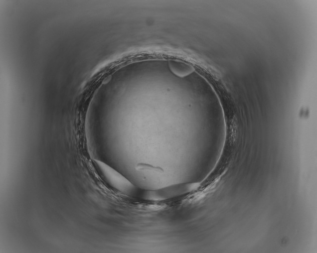X0000091491494200708161428