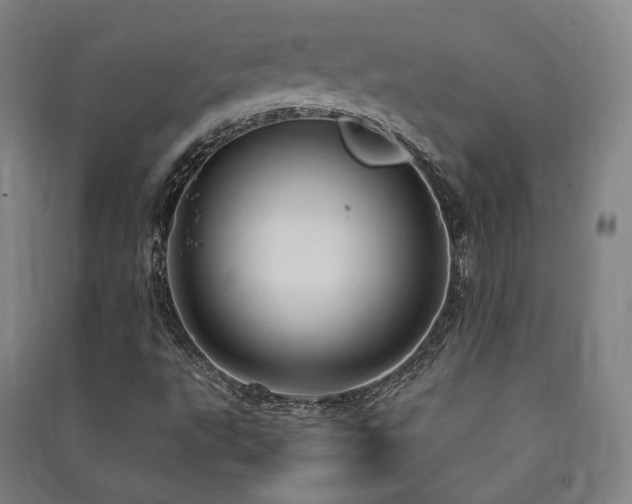 X0000091491495200708161428