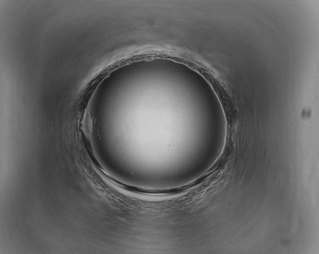X0000091491496200708161428