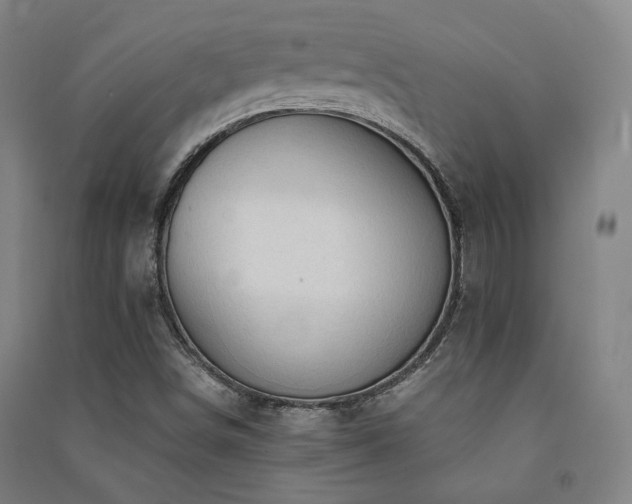 X0000091491498200708161428