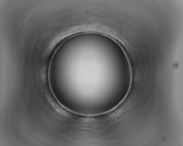 X0000091491499200708161428