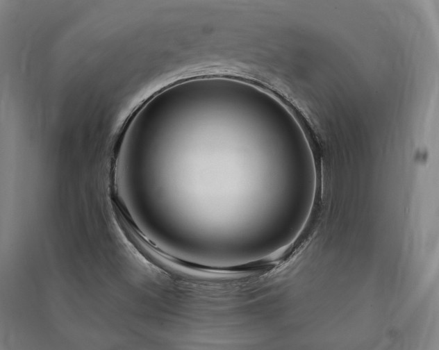 X0000091491500200708161428