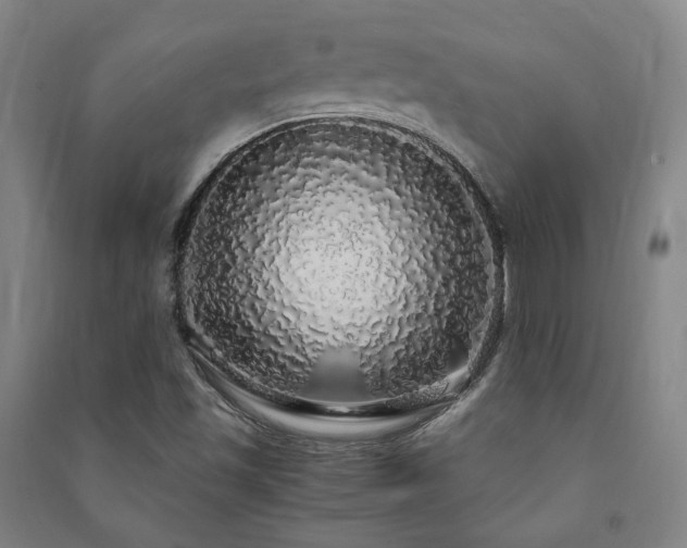 X0000091491501200708161428