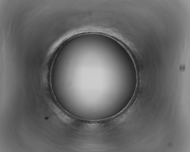 X0000091491502200708161428