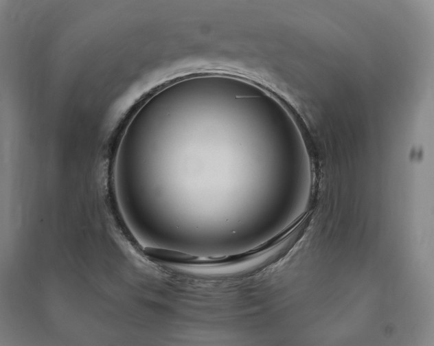 X0000091491503200708161428