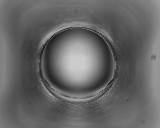 X0000091491504200708161428