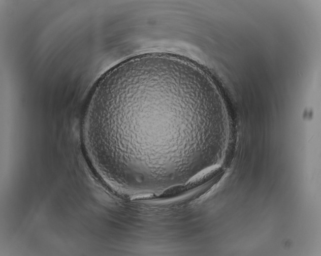 X0000091491505200708161428