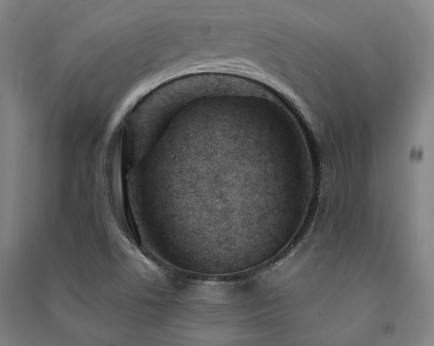 X0000091491506200708161428