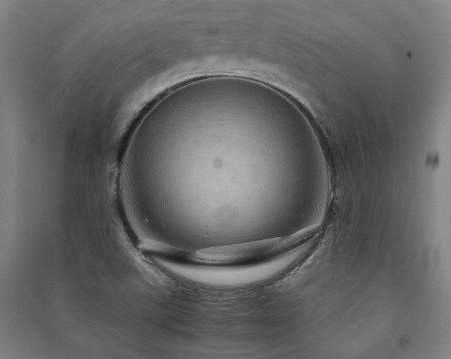 X0000091491507200708161428