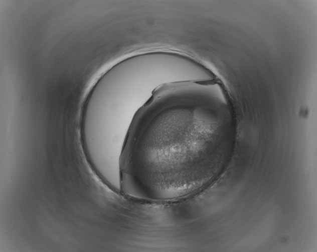 X0000091491508200708161428
