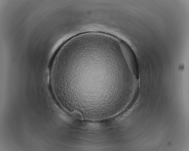 X0000091491509200708161428