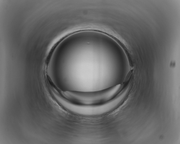 X0000091491510200708161428