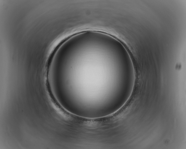 X0000091491511200708161428