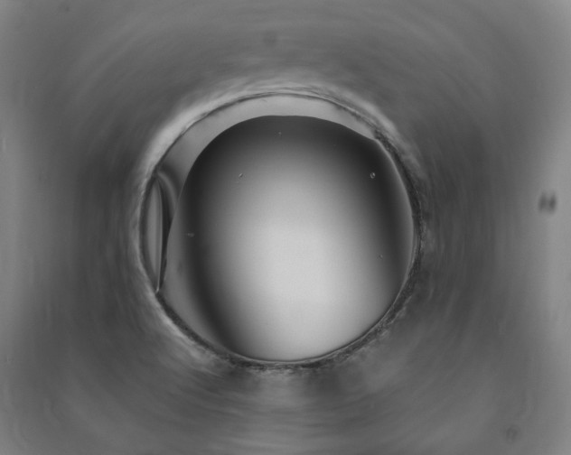 X0000091491512200708161428