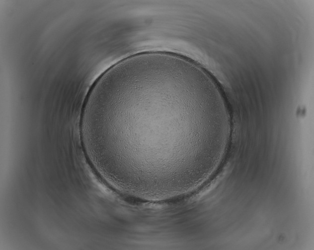 X0000091491513200708161428