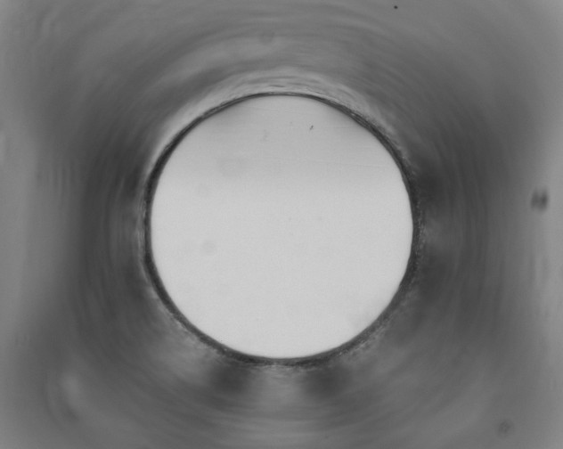 X0000091491514200708161428