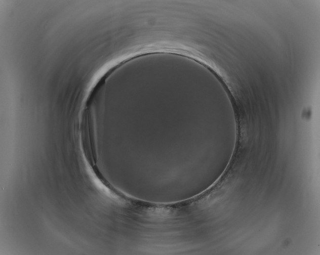 X0000091491515200708161428