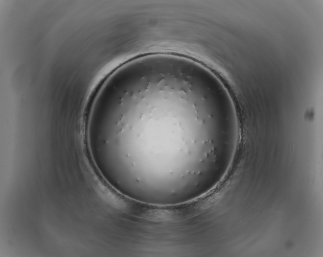 X0000091491517200708161428